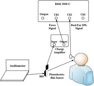 An objective bone conduction verification tool using a piezoelectric thin-film force transducer